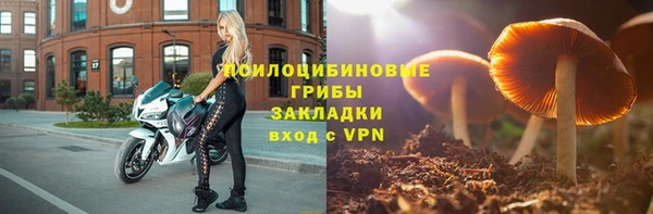 a pvp Алзамай