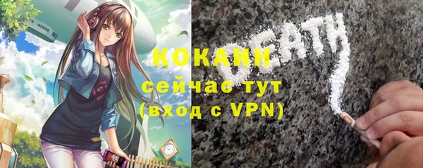 хмурый Покачи
