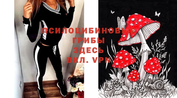 дурь Алексин
